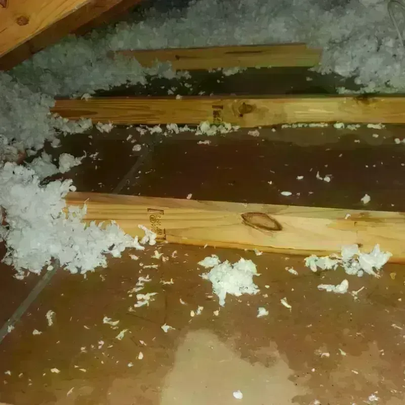 Attic Water Damage in Tappahannock, VA