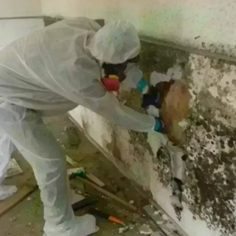 Mold Remediation and Removal in Tappahannock, VA